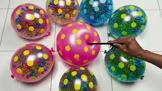 “Color Explosion! Polka Dot Balloons Popping Satisfying ASMR 💧”