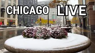 Chicago LIVE First Snow Walk 2025 On Monday (November 10, 2025) No Talk City Sounds 29&deg;F