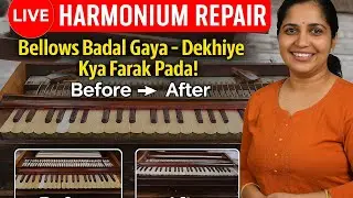 LIVE Harmonium Repair | Indian Handcrafted Sound | Now Available in USA #video #live #shorts