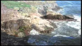 Seaton Cliffs, Arbroath