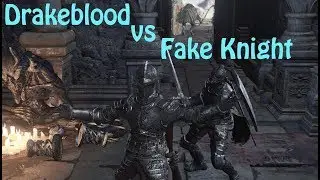 The battle of the Drakeblood Knights