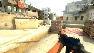 [CS:GO] fnatic flusha 4K vs LDLC