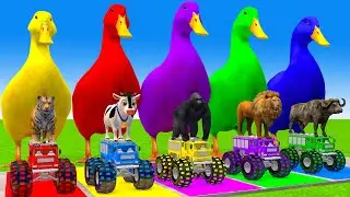 5 Giant Duck Cartoon,Cow,Elephant,T-Rex,Tiger,Lion, Paint Wild Animals Crossing Fountain Animation