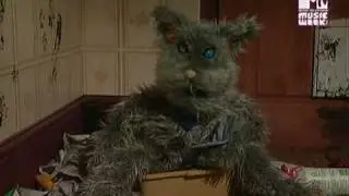 mtv pets ITA Robot Wars