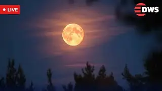 LIVE: Karachi Lights Up Under the Last Supermoon of 2025 &mdash; Stunning Night Sky Views! | AL15