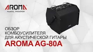 Обзор комбоусилителя для акустической гитары AROMA AG-80A