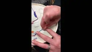 SNAD Tutorial: Trailling Stitch