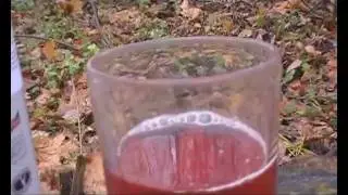 Sheckter's Organic energiajuoma