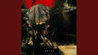 20/20