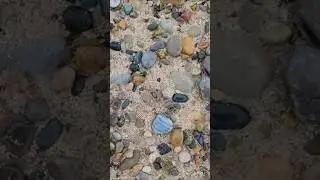 Rock Hunting Shipwreck Shores Of Lake Huron Michigan