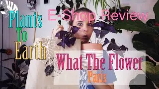 What The Flower - Unboxing & eshop review