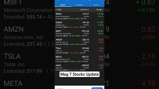 Mag 7 Stocks Update