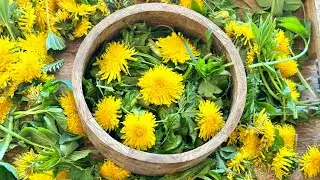Wild Edible Salad Recipe: My Secret Foraged Superfood Meal! 🌿 Safe & Easy