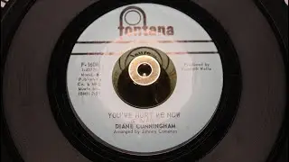 Diane Cunningham - You've Hurt Me Now - Fontana &ndash; F-1608