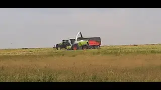 Silage2024