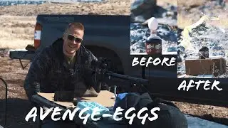 SHORT Budget Airgun: Teeny Tiny TARGETS. Avenge-X Carbine VS EGGS