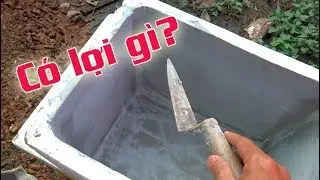 CÁCH XỬ LÝ THÙNG XỐP TÔ XI MĂNG NUÔI CÁ 7 MÀU - GUPPY | Túc Thịnh