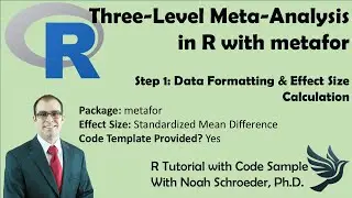 How to do Three Level Meta-Analysis in R: Part 1 - Data formatting and effect size calculation