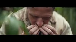 Goose Island: Beer Story