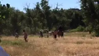 Platte Bridge Battle