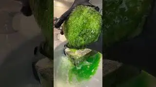 #asmr #satisfying #sponge #relaxing #shorts #shortvideo #cleantok #soap #squeeze #spongeasmr #fyp