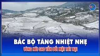 DỰ BÁO THỜI TIẾT NGÀY 23/1: Bắc Bộ tiếp tục rét đậm, nền nhiệt có xu hướng nhích dần lên