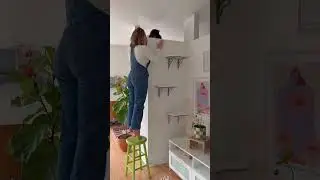 Обновление кошачьей полки 2! 🐈&zwj;⬛ Я избегала этого, но, кажется, пора менять полки 😩 #сделайсам