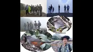 Birding &Trekking (Athirumala-Ponkalappara-Agasthyakoodam Peak)അഗസ്ത്യകൂടം   #youtube #youtubevideo
