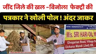 जींद जिले की खल -बिनोला  फैक्ट्री की पत्रकार ने खोली पोल ! अंदर जाकर देखा असली और नकली खल -