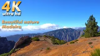 Exploring, 4K virtual walk, Madeira, Hiking trip Fragas do Pared&atilde;o