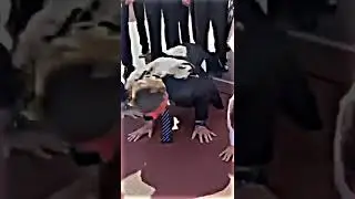 PRIME LULA VS PRIME BOLSONARO