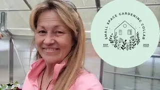 #smallgardens2023 collaboration @DigwellGreenfingers @BloosSelfReliance #garden