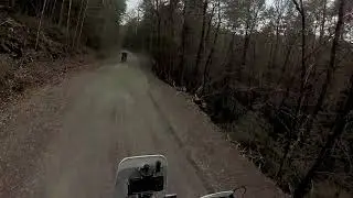 RYLO 20180325 110204  0400