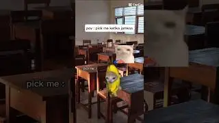 pov: pikc me pas jam kos #memekucing#kucing