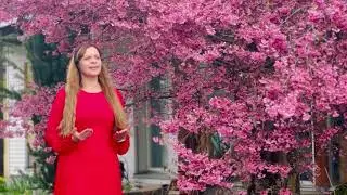 Gabriela Lixandru-De ce e grea cărarea mea(Official)
