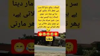 شیر صرف مار دیتا ہے بیوی پہلے جلاتی ہے پھر تڑپاتی ہے، پھر مارتی ہے