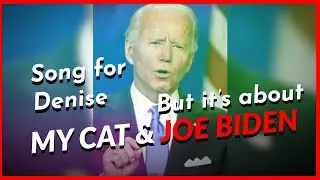 Song For Denise (Bass Boosted) but it&rsquo;s about my cat and Joe Biden