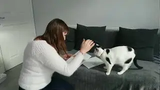 How to take your pet's paw print with an inkless paw print kit at home.
