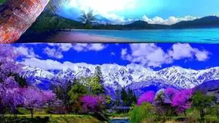 Andre Rieu - Celebrates Abba   Fernando