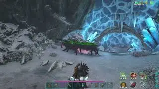 Ark fjordur Steinbjorn boss battle
