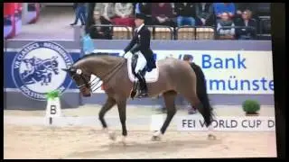 'I just want to dance' by Dressage&Music - Borja Carrascosa & Foco Loco W - Grand Prix Freestyle