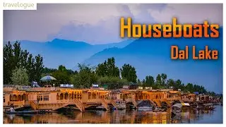 All You Need To Know About Houseboats In Dal Lake | Houseboat Srinagar #houseboat #dallake #daljheel
