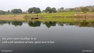 A short video essay - Moving Upstream: Sindh Fellowship | Veditum India Foundation