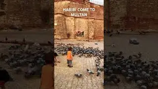 5000-Year-Old Multan: The Enigmatic Fort and Its Mysteries