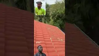 🚨 Do You Want to Be Hit by a Tile Roof? Probably Not! 🏠⚠️ 🚨