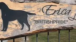 Il mio mondo Britishpride