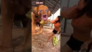 so funny elephant amazing video #funny #ilovegadgets #comedyfilms #viral #memes #gadgests #viral