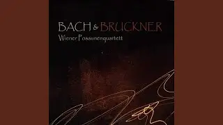 Aequale in C Minor, WAB 149