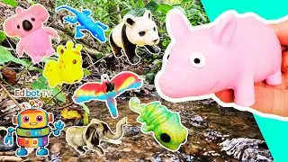Animal Names | Kids Learn at the Stream: Chameleon Panda Pig Elephant Parrot