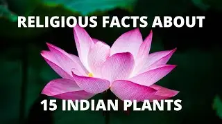RELIGIOUS FACTS ABOUT 15 INDIAN PLANTS / TREES | PROMINENT FACTS